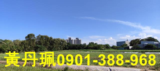 桃園大園農地-2