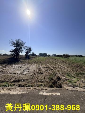 大園農地-1